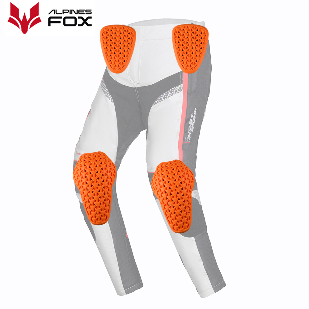 Pantalon de moto certifié CE n - Motorcycle Gear Alpine avis et prix